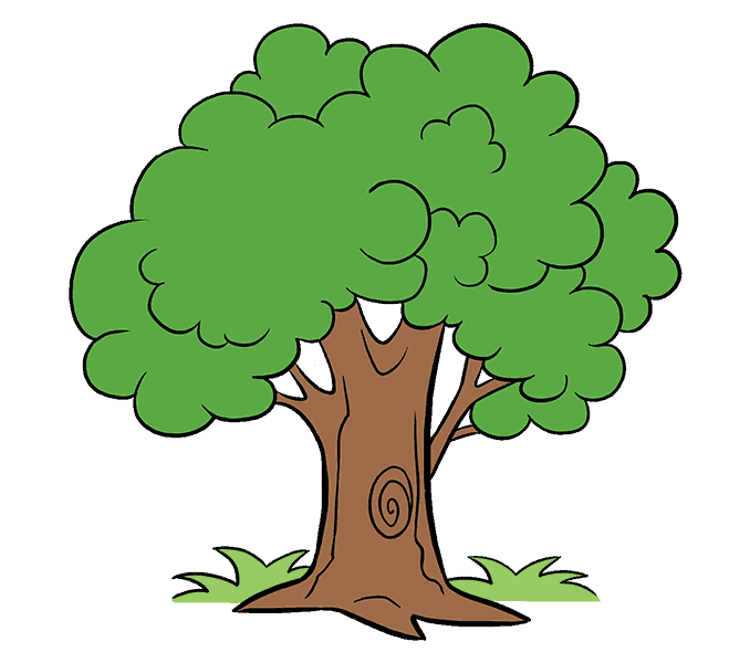 Intro Image